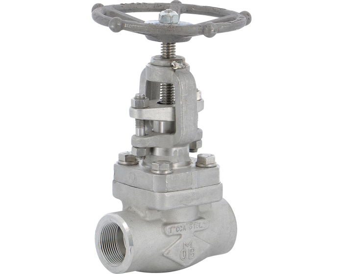 Stainless steel F316 globe valve 453 TRIM 10 800 lbs NPT 3/8''